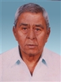 Somabhai Haribhai Patel - Ahmedabad