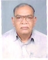 Ramanbhai Narayandas Patel - Surat