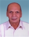 Mafatlal Ishwarlal Patel - Visnagar